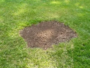 Hole Filled In
