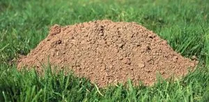 Mound Of Dirt